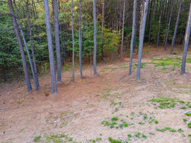 538 Seiber Ridge Road, Hohenwald, TN 38462