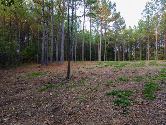 538 Seiber Ridge Road, Hohenwald, TN 38462