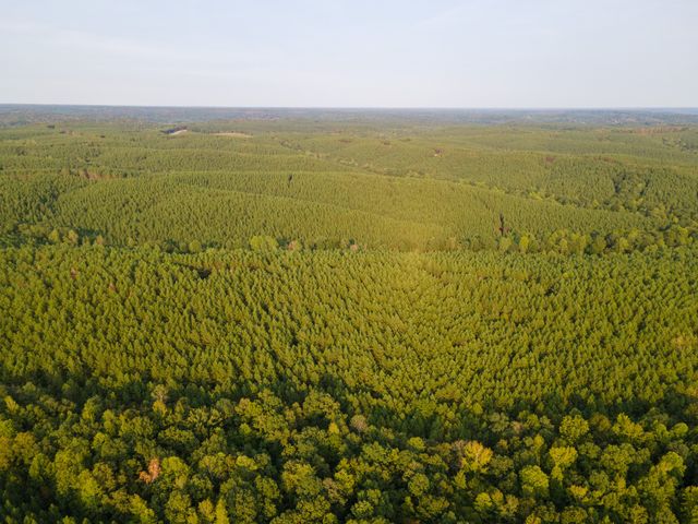 538 Seiber Ridge Road, Hohenwald, TN 38462