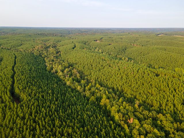 538 Seiber Ridge Road, Hohenwald, TN 38462