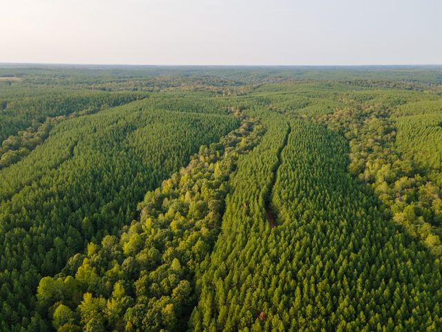 538 Seiber Ridge Road, Hohenwald, TN 38462
