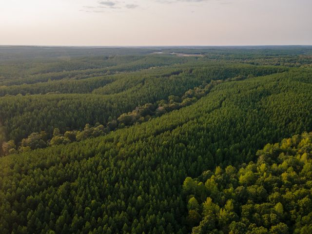 538 Seiber Ridge Road, Hohenwald, TN 38462