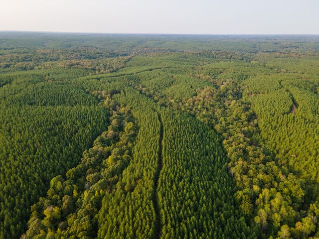 538 Seiber Ridge Road, Hohenwald, TN 38462