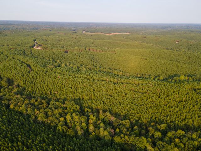 538 Seiber Ridge Road, Hohenwald, TN 38462