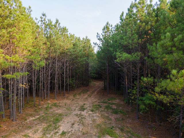 538 Seiber Ridge Road, Hohenwald, TN 38462