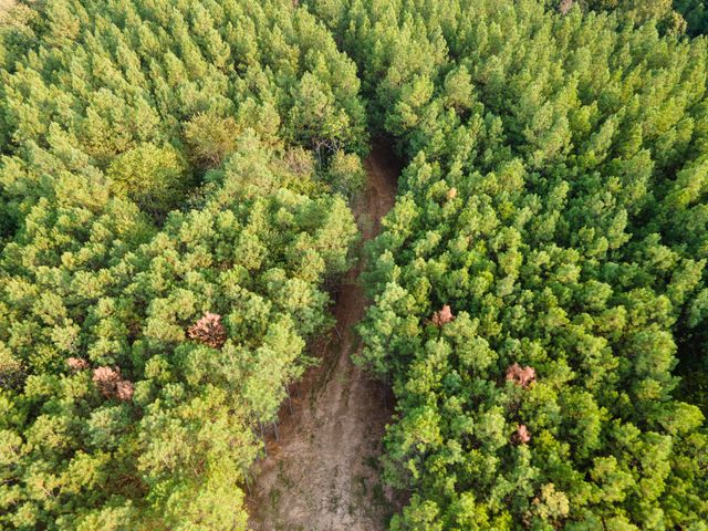 538 Seiber Ridge Road, Hohenwald, TN 38462