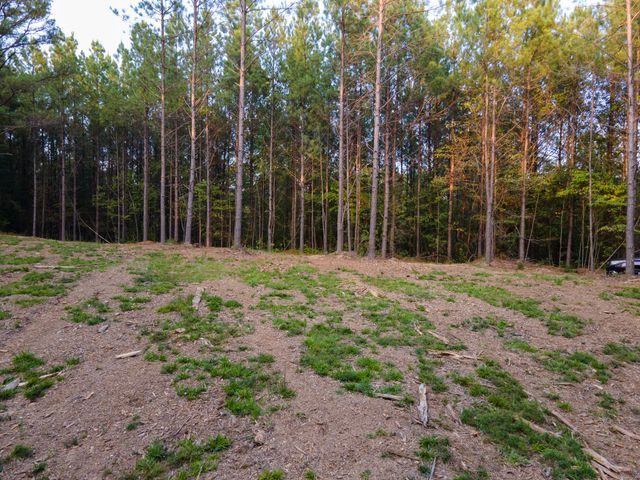 538 Seiber Ridge Road, Hohenwald, TN 38462