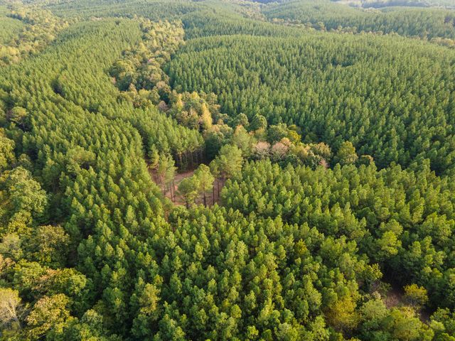 538 Seiber Ridge Road, Hohenwald, TN 38462