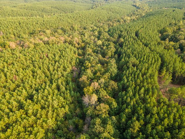 538 Seiber Ridge Road, Hohenwald, TN 38462