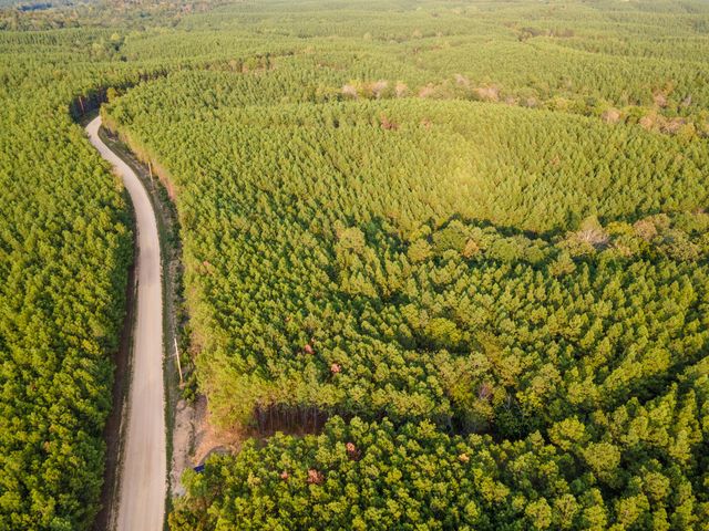 538 Seiber Ridge Road, Hohenwald, TN 38462