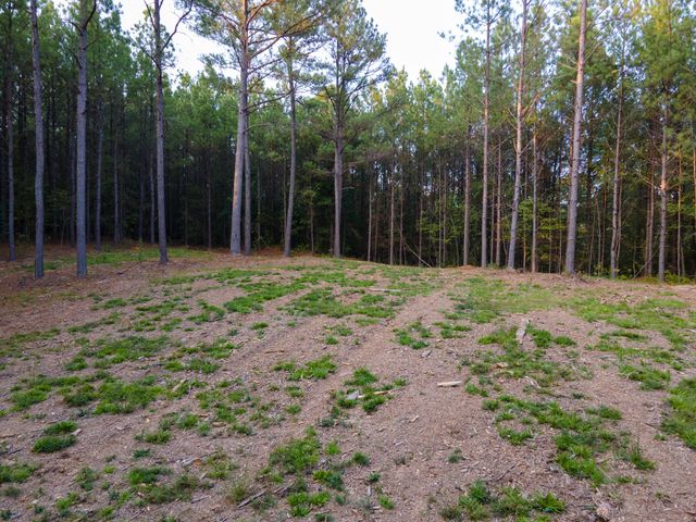 538 Seiber Ridge Road, Hohenwald, TN 38462
