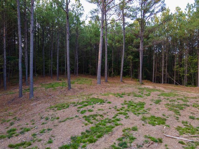 538 Seiber Ridge Road, Hohenwald, TN 38462