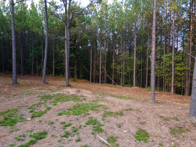 538 Seiber Ridge Road, Hohenwald, TN 38462