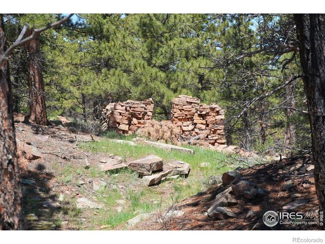 101 Lewis Lane, Longmont, CO 80503