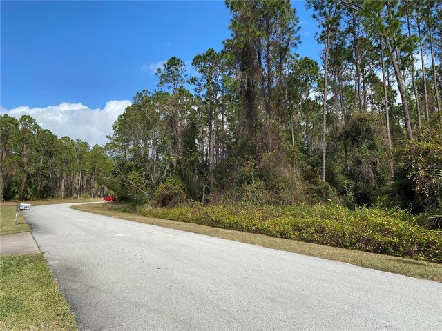 31004 SECRETARIAT TRAIL, Leesburg, FL 34748