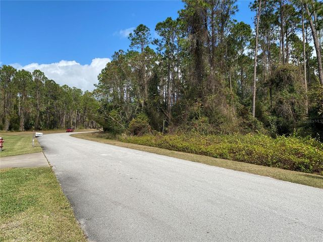 31004 SECRETARIAT TRAIL, Leesburg, FL 34748
