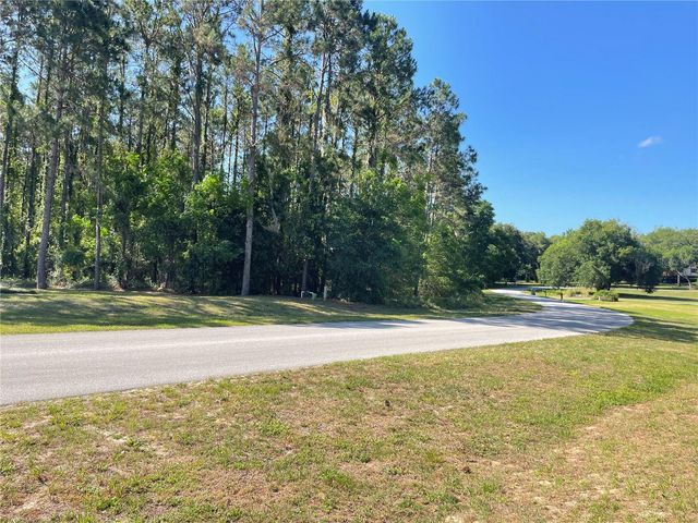31004 SECRETARIAT TRAIL, Leesburg, FL 34748