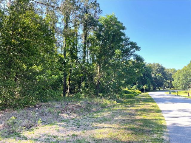 31004 SECRETARIAT TRAIL, Leesburg, FL 34748