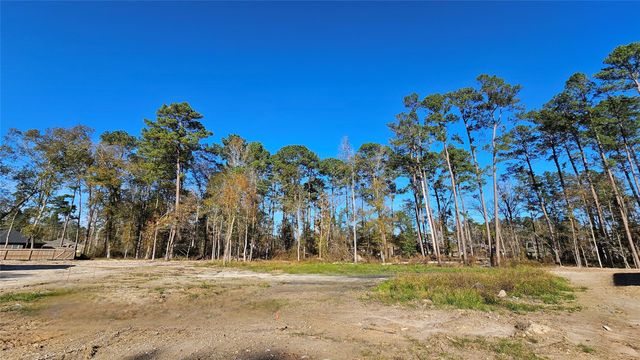 818 Scribe Street, New Caney, TX 77357