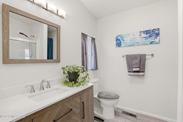 16921 W Placita Dato, Marana, AZ 85653