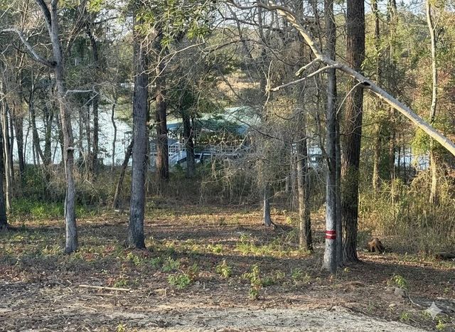 25 Memory Lane, Eufaula, AL 36027