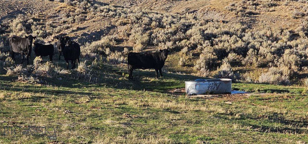 TBD Shy Road, Wilsall, MT 59086 photo 21