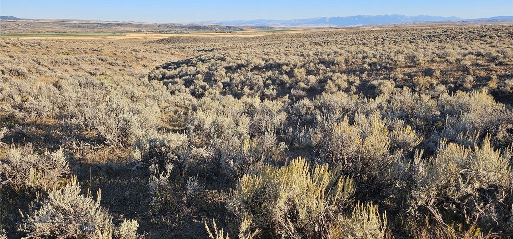 TBD Shy Road, Wilsall, MT 59086 photo 25