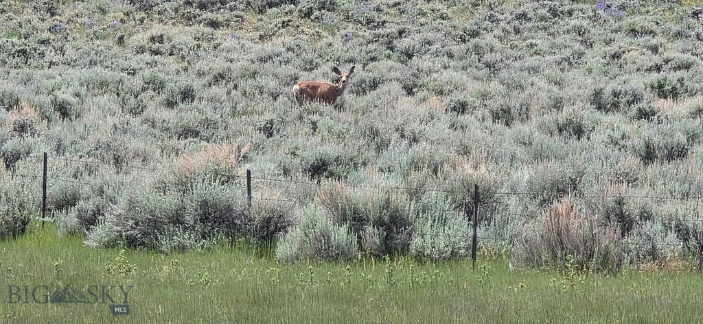 TBD Shy Road, Wilsall, MT 59086 photo 4