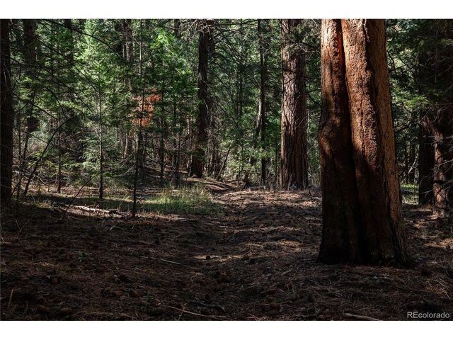 0 Aspen Ln, Golden, CO 80401