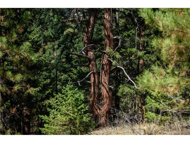 0 Aspen Ln, Golden, CO 80401
