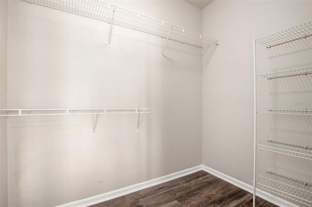 800 DAKOTA AVENUE 238, Tampa, FL 33606