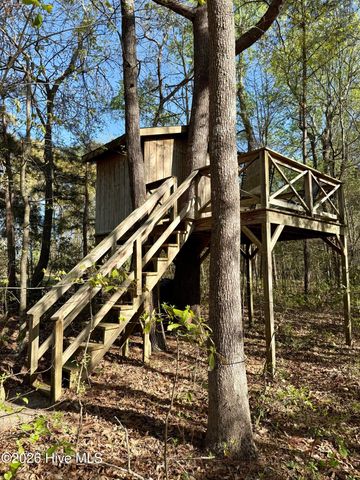 1285 Bear Grass Road, Beargrass, NC 27892