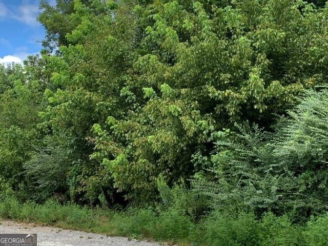 7322 Tribble Gap Road, Alto, GA 30510