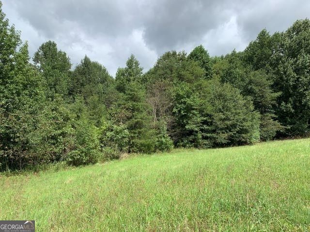 7322 Tribble Gap Road, Alto, GA 30510