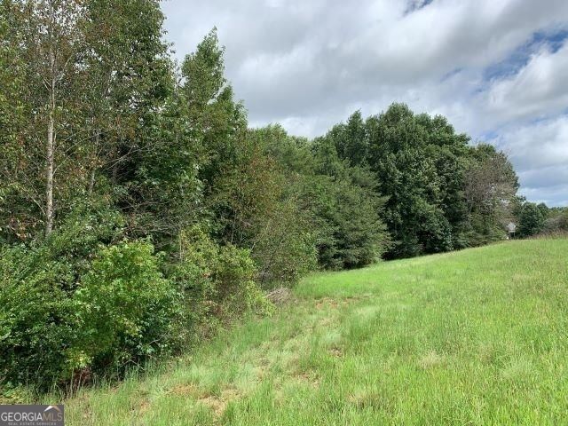 7322 Tribble Gap Road, Alto, GA 30510
