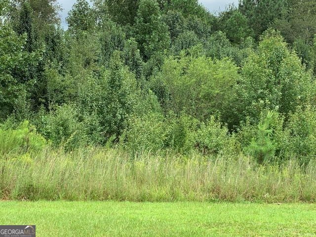 7322 Tribble Gap Road, Alto, GA 30510