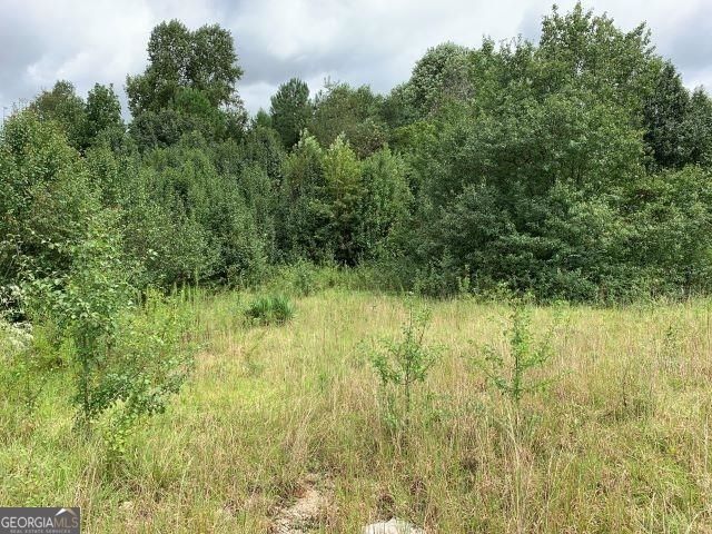 7322 Tribble Gap Road, Alto, GA 30510