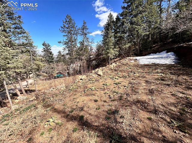 0 Pine Lane, Colorado Springs, CO 80906