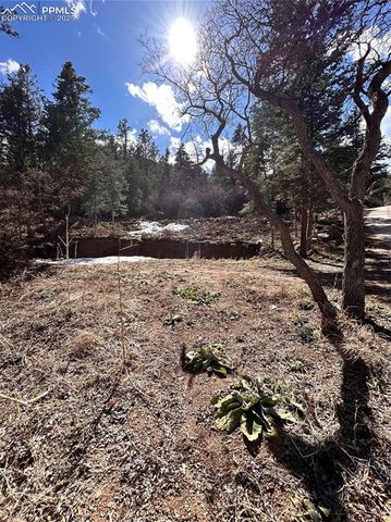0 Pine Lane, Colorado Springs, CO 80906