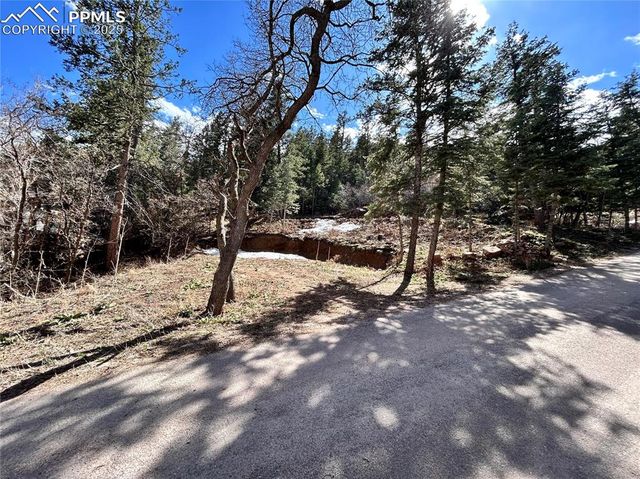 0 Pine Lane, Colorado Springs, CO 80906