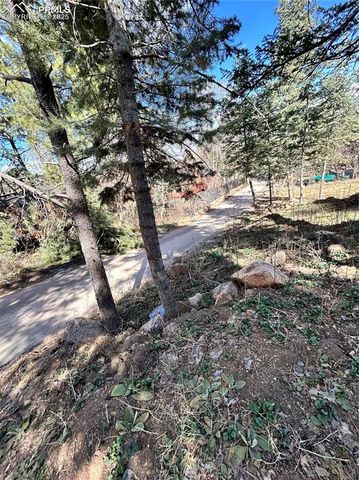 0 Pine Lane, Colorado Springs, CO 80906