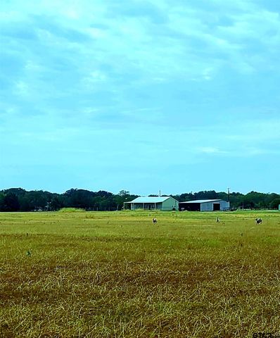 Tract 6 CR 4048, Kemp, TX 75143