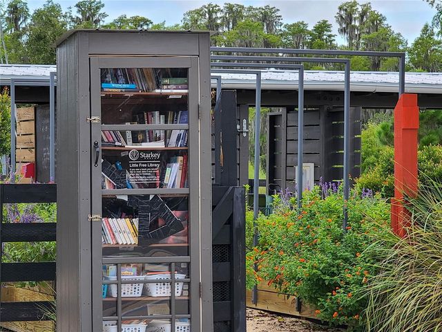 11828 RANCHERS GAP DRIVE, Odessa, FL 33556