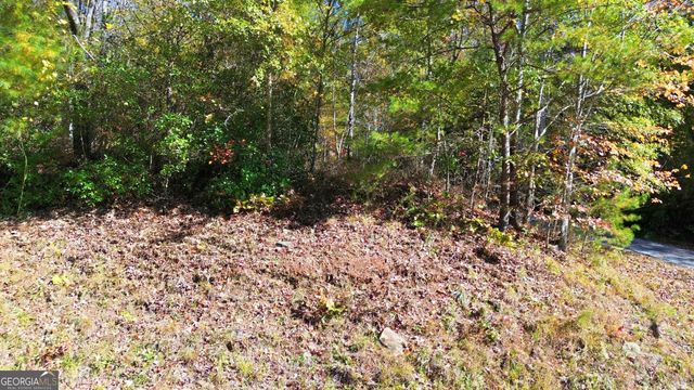 201 Spookhaven Lane, Clarkesville, GA 30523