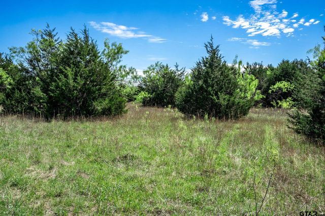 0000 County Road 308, Terrell, TX 75160