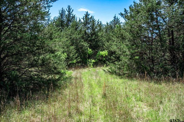 0000 County Road 308, Terrell, TX 75160