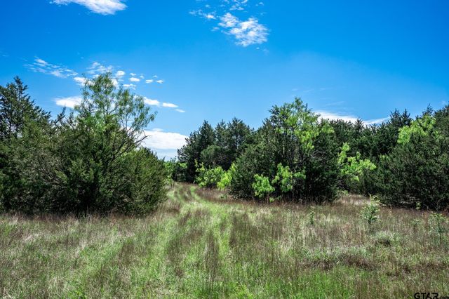 0000 County Road 308, Terrell, TX 75160