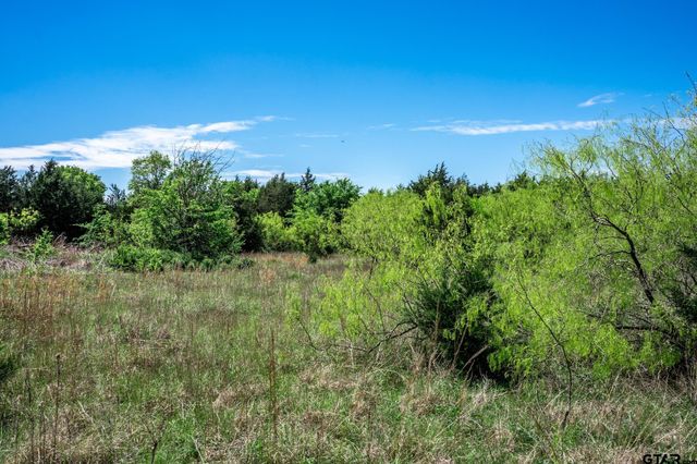0000 County Road 308, Terrell, TX 75160