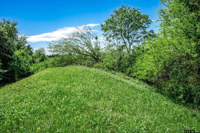 0000 County Road 308, Terrell, TX 75160
