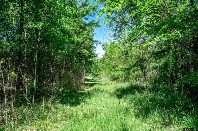 0000 County Road 308, Terrell, TX 75160